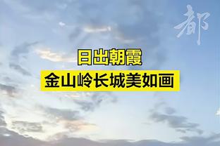 官方：诺伊尔左内收肌纤维撕裂退出国家队，缺席3月2场国际比赛